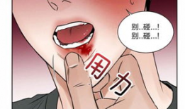 看腐漫画,甜蜜与激情的交织