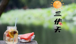 三伏天,盛夏酷暑的养生攻略与避暑秘籍