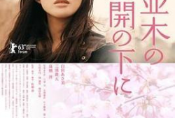 樱花伦理电影,伦理抉择的青春交响曲