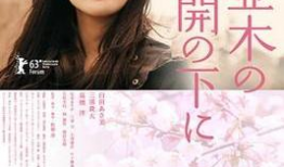 樱花伦理电影,伦理抉择的青春交响曲